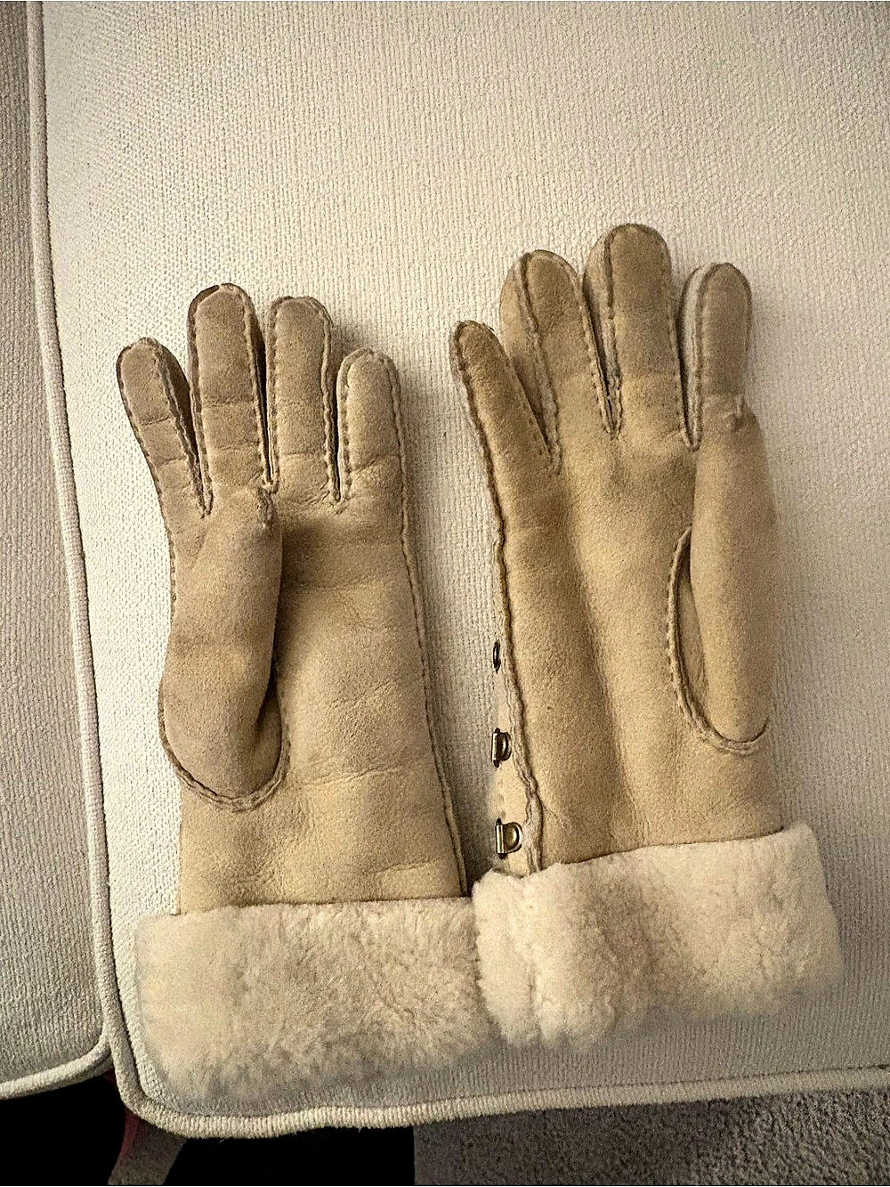 UGG Shearling Cuff Gloves in Cream/Beige